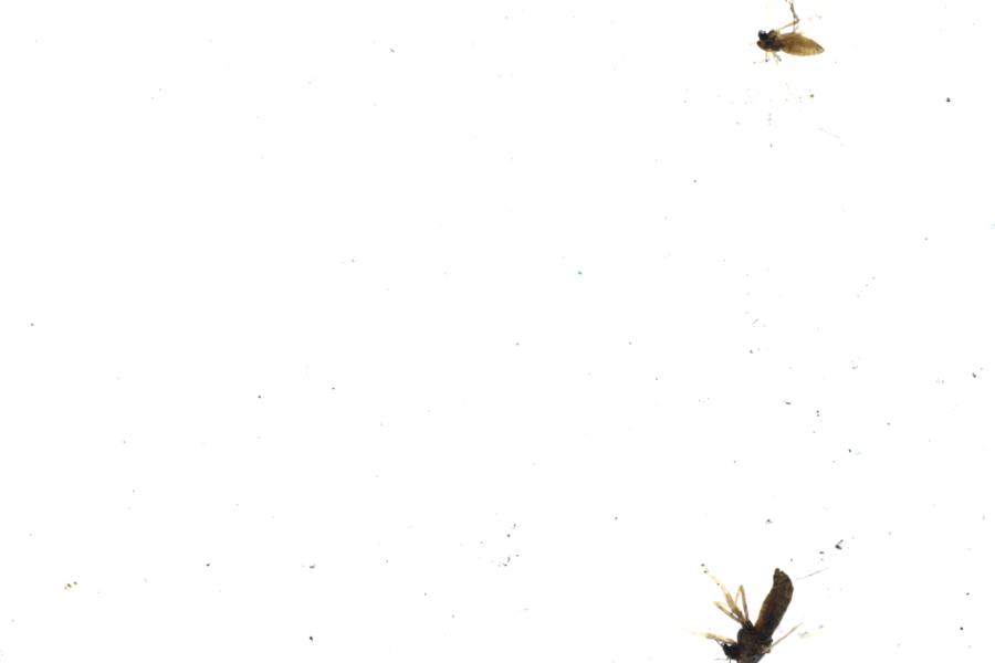 Image 28
